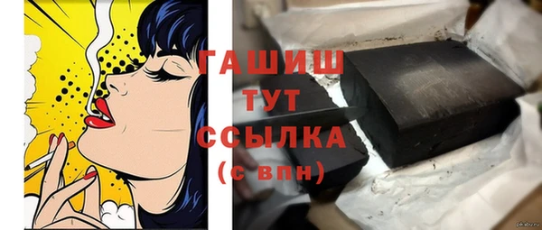 стафф Ельня