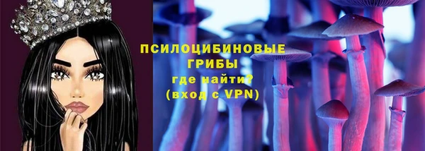 стафф Ельня