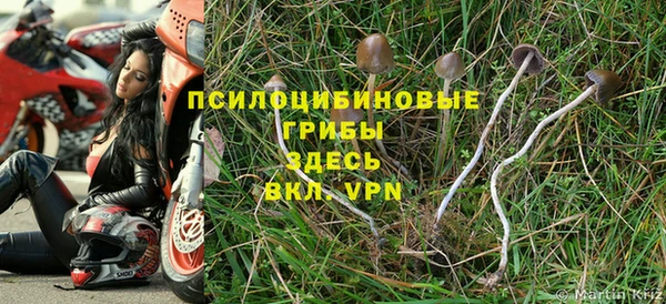 стафф Ельня