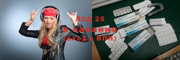 стафф Ельня