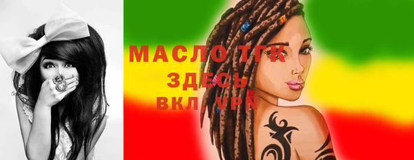 стафф Ельня