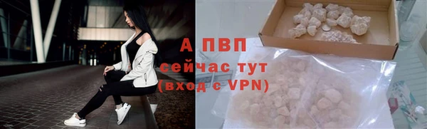 стафф Ельня