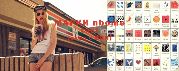 стафф Ельня