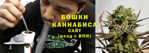 стафф Ельня