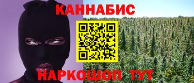 МДПВ Кингисепп
