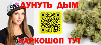 МДПВ Кингисепп
