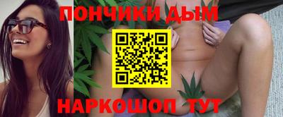 МДПВ Кингисепп