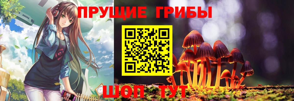 Курчалой  Галлюциногенные грибы мицелий  купить наркоту  Вход с VPN 